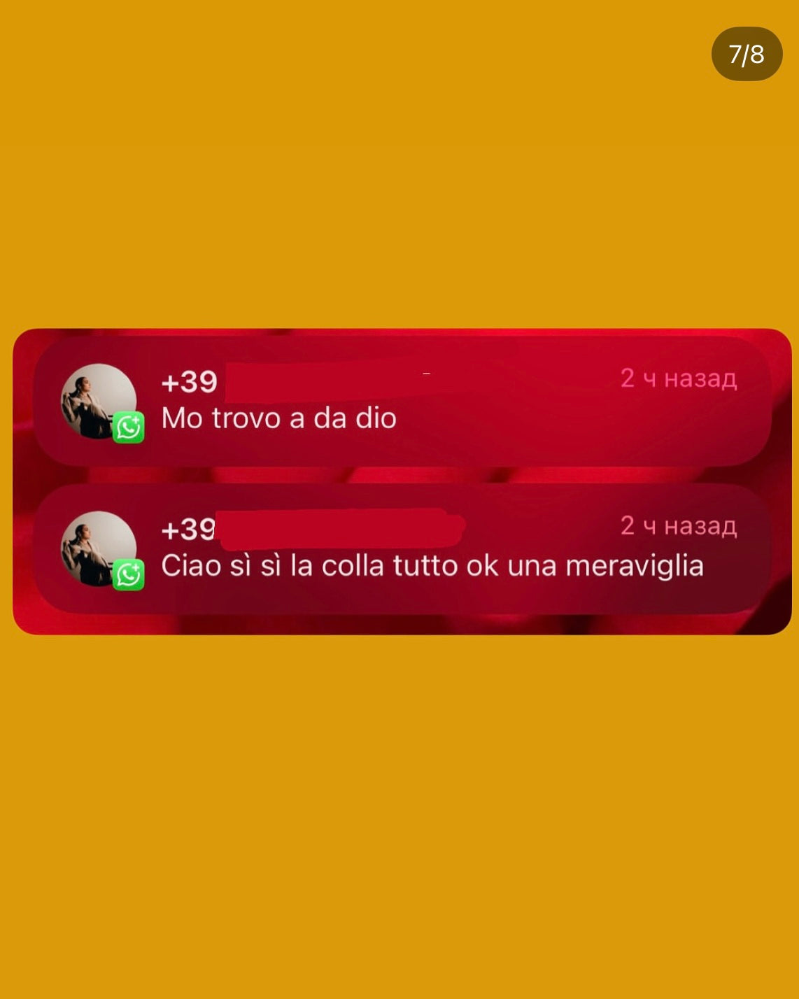 FRIDA — la colla 0,3 - 0,5 secondi | TENUTA fino a 8 SETTIMANE