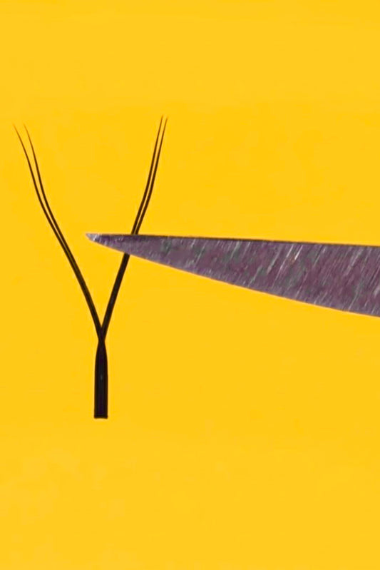 flY YY 20 linee di ciglia leggere come aria. Nere come l’inchiostro.